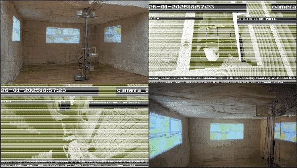 Descripción de la imagen